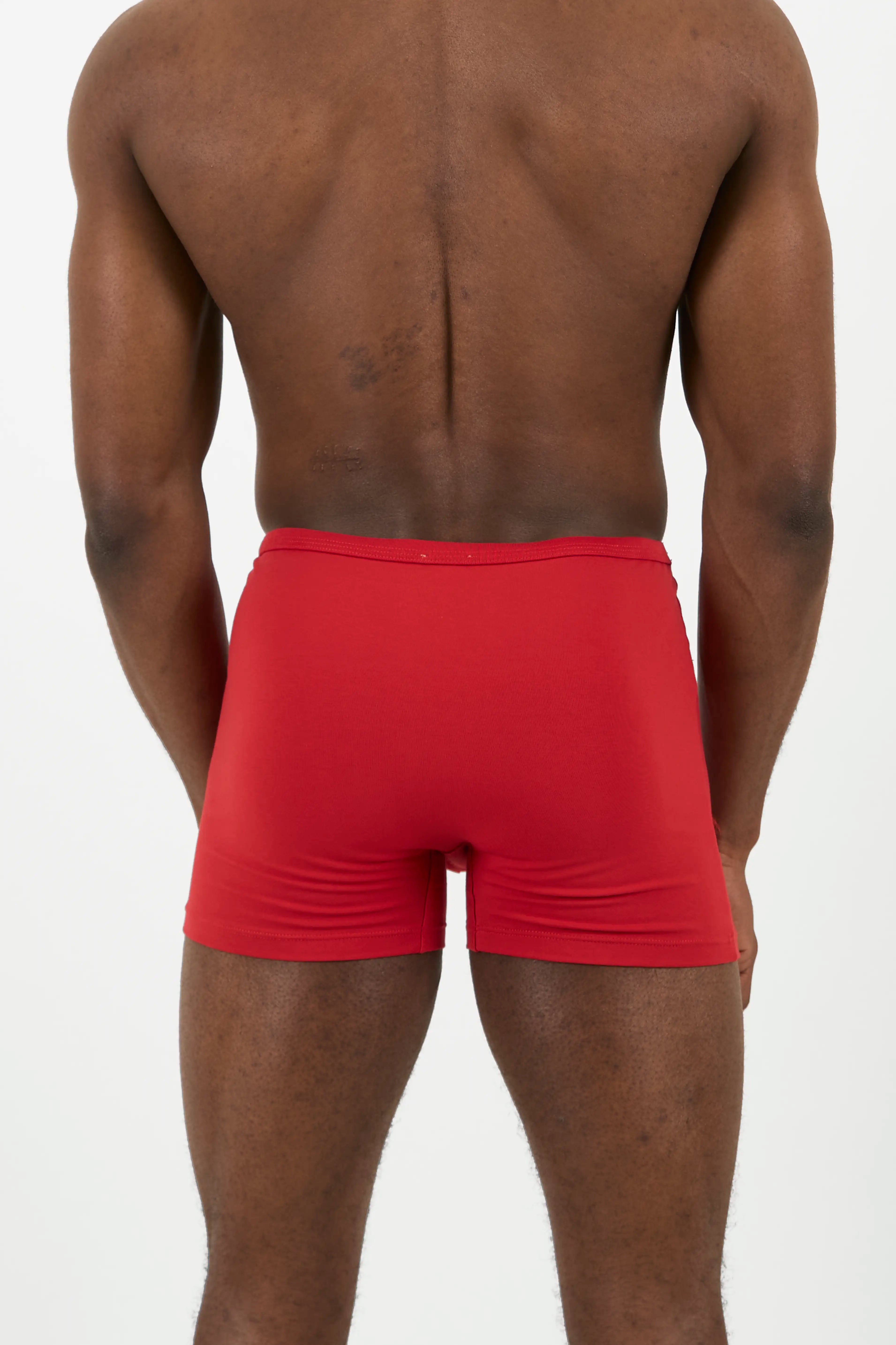 BOXER