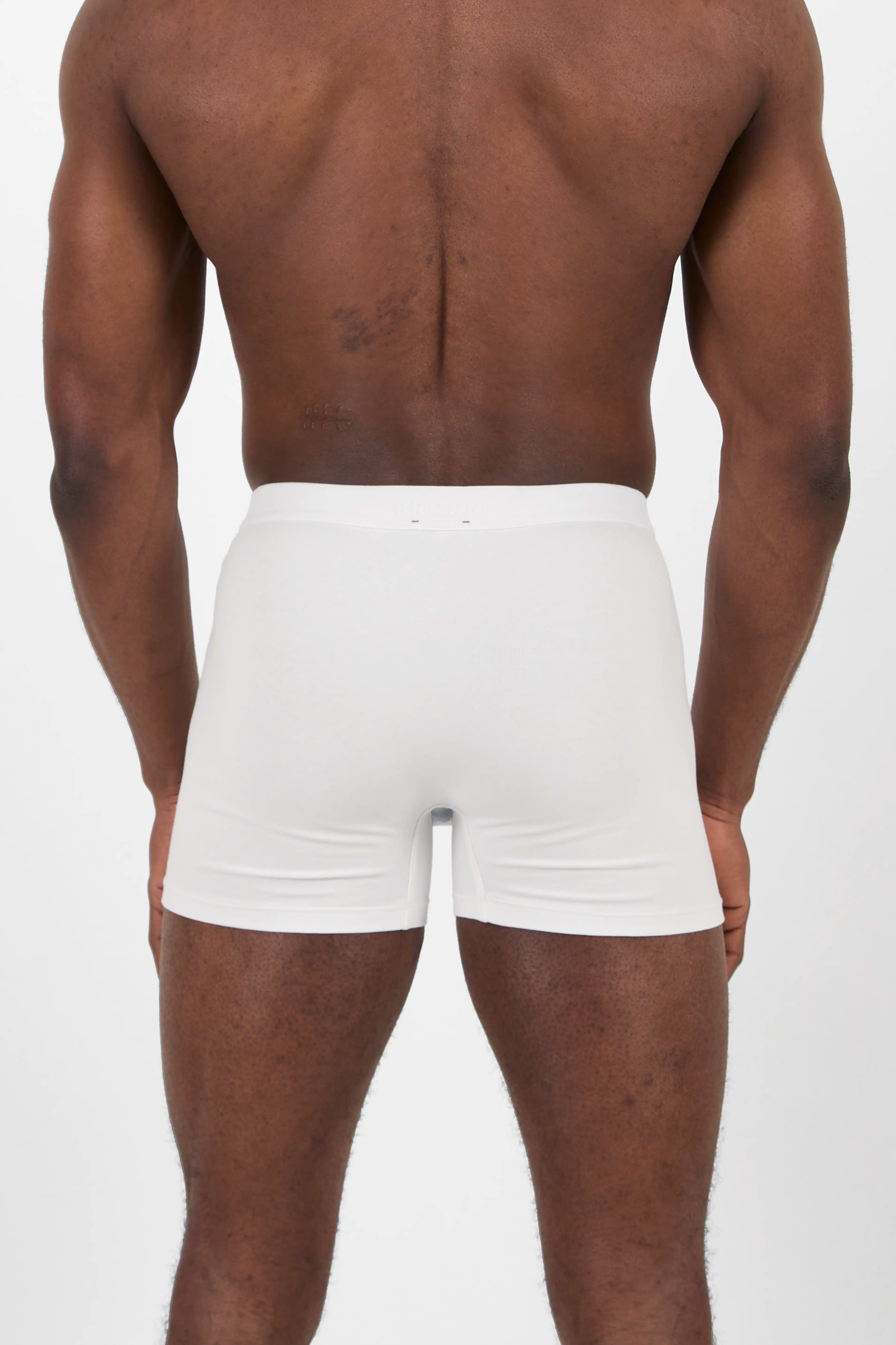 BOXER SIGNATURE